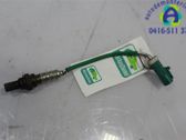 Sonde lambda