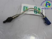 Sonde lambda
