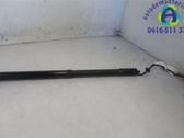 Tailgate/trunk strut/damper