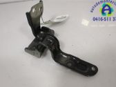 Tailgate/trunk/boot hinge