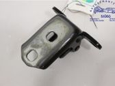 Rear door lower hinge