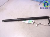 Tailgate/trunk strut/damper