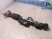Stoßdämpfer hinten