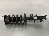 Front shock absorber with coil spring