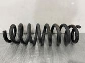 Rear coil spring rubber mount