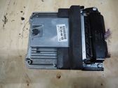 Engine control unit/module ECU