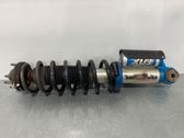 Rear shock absorber with coil spring