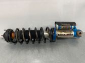 Rear shock absorber with coil spring
