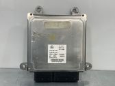 Engine control unit/module ECU