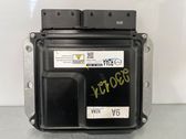 Engine control unit/module ECU