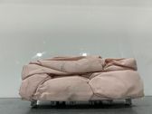 Beifahrerairbag