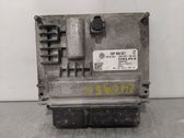Engine control unit/module ECU