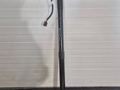 Tailgate/trunk strut/damper