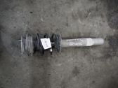 Front shock absorber with coil spring