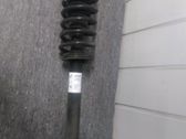 Amortiguador delantero con muelle espiral