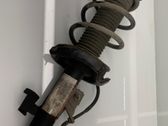 Front shock absorber with coil spring