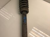 Front shock absorber with coil spring