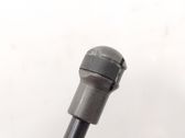 Moteur ouverture de coffre