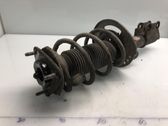 Front shock absorber with coil spring