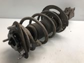 Front shock absorber with coil spring