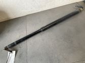 Amortiguador/puntal del maletero/compartimento de carga