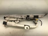 Roof airbag