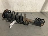 Front shock absorber with coil spring