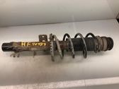 Front shock absorber with coil spring