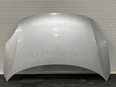 Motorhaube