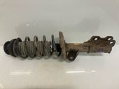 Front shock absorber with coil spring