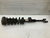 Front shock absorber with coil spring