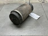 Bolsa de la suspensión neumática