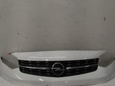 Front grill