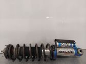 Rear shock absorber with coil spring