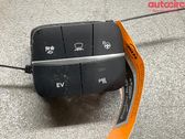 Other switches/knobs/shifts