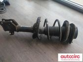 Front shock absorber with coil spring