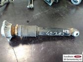 Rear shock absorber/damper