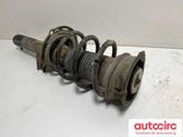 Amortiguador delantero con muelle espiral