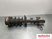 Rear shock absorber with coil spring