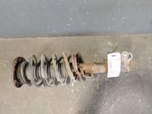 Front shock absorber with coil spring