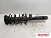 Front shock absorber with coil spring