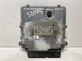 Motorsteuergerät ECU