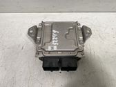 Engine control unit/module ECU