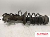 Front shock absorber with coil spring