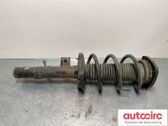Front shock absorber with coil spring