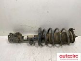 Front shock absorber with coil spring