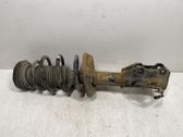 Front shock absorber with coil spring