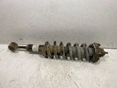 Front shock absorber with coil spring