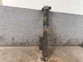 Stoßdämpfer hinten