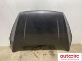 Engine bonnet/hood